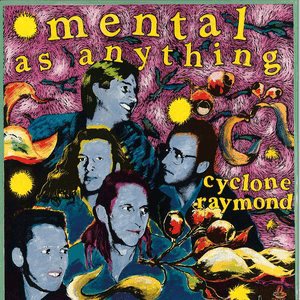 Cyclone Raymond by Mental as Anything