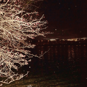 No Country Is An Island by Holly Head