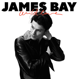 Wild Love by James Bay