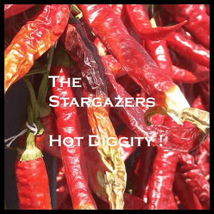 Hot Diggity! by The Stargazers