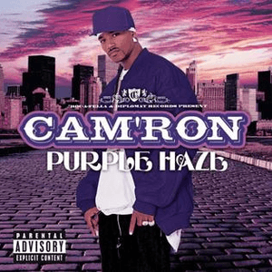 Purple Haze (Explicit) by Cam’ron