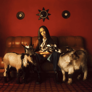 Capricorn Sun by TSHA