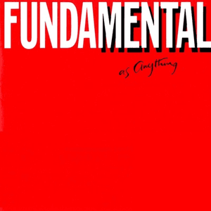 Fundamental by Mental as Anything