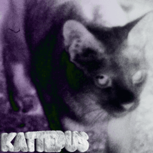 Kattepus by Arif Murakami