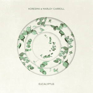 Eucalyptus by Koresma