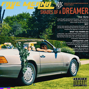 Shades Of A Dreamer by Faye Meana