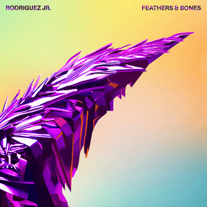 Feathers & Bones by Rodriguez Jr.