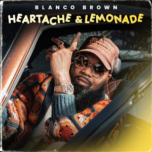 Sunshine Shine by Blanco Brown