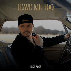 Leave Me Too by Josh Ross