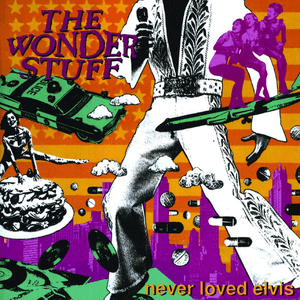 Never Loved Elvis by Vic Reeves and The Wonder Stuff