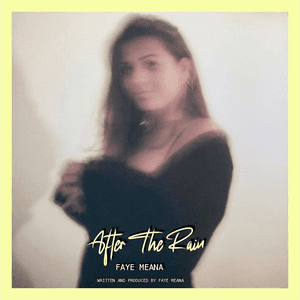After The Rain by Faye Meana