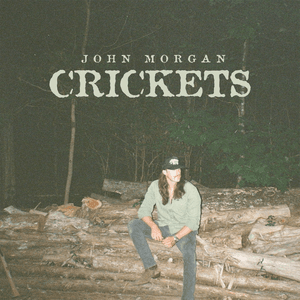 Crickets by John Morgan