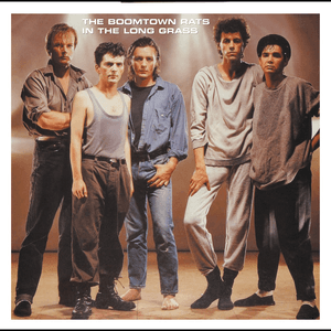 In The Long Grass by The Boomtown Rats