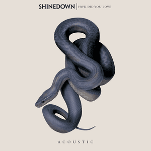 How Did You Love by Shinedown
