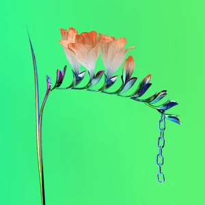 Skin Companion EP I by Flume
