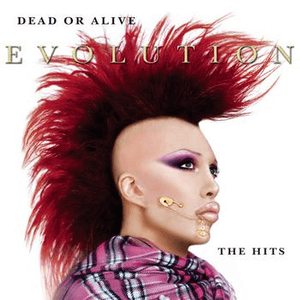 Evolution: The Hits by Dead or Alive