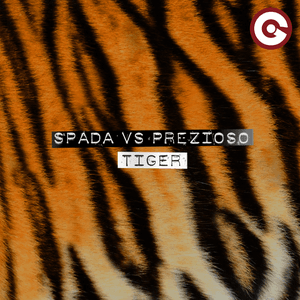 Tiger by Spada