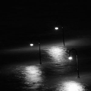 ... and darkness came by Brambles