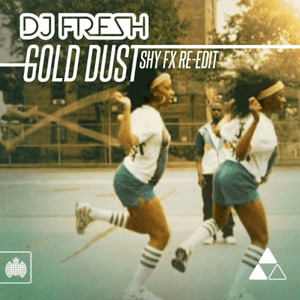 Gold Dust (Shy FX Re-Edit) by DJ Fresh