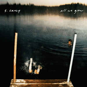 All We Grow (Bonus Track Version) by S. Carey