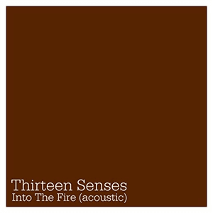 Into The Fire (Acoustic) by Thirteen Senses