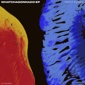 Whatchagonnado EP by Franky Rizardo