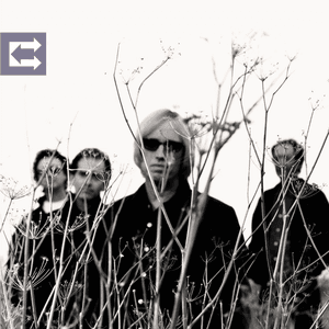 Echo by Tom Petty
