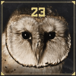 23 by 23