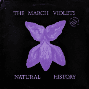 Natural History by The March Violets
