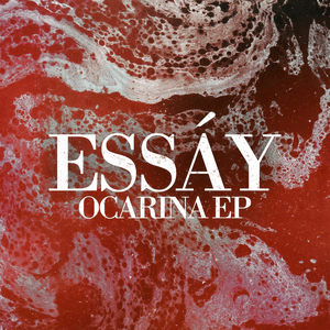 Ocarina by Essáy