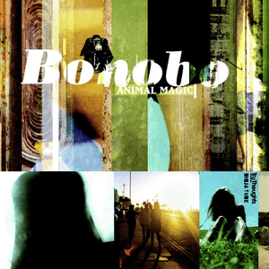 Animal Magic by Bonobo