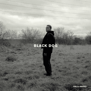 Black Dog by Arlo Parks