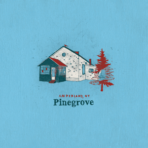 Amperland, NY by Pinegrove