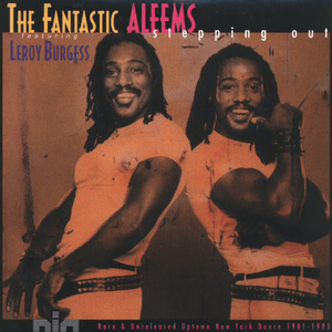 Stepping Out by The Fantastic Aleems