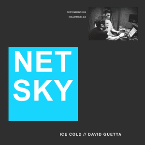 Ice Cold by Netsky
