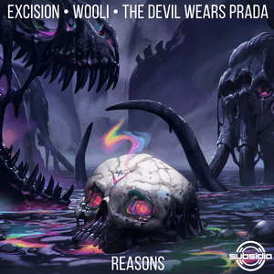 Reasons by Excision