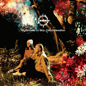 Mind Elevation by Nightmares on Wax