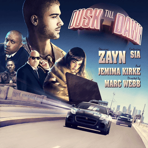Dusk Till Dawn (Radio Edit) by ZAYN