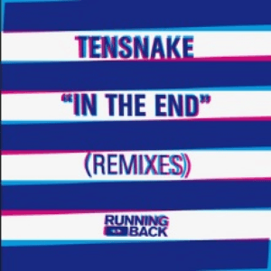 In The End (Remixes) by Tensnake