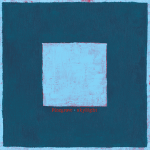 Skylight by Pinegrove
