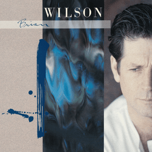 Brian Wilson by Brian Wilson
