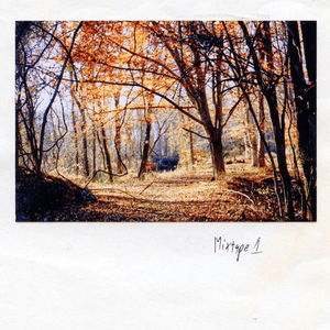 Mixtape 1 by Ricky Eat Acid