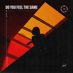 do you feel the same by LEOWI