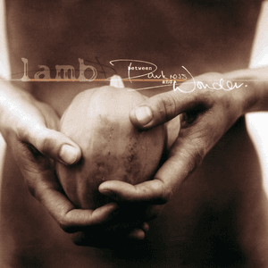 Between Darkness and Wonder by Lamb