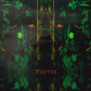 Salt Spring by Thoma