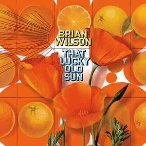 That Lucky Old Sun by Brian Wilson