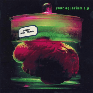 Your Aquarium by Drop Nineteens