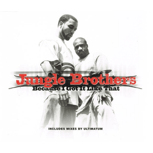 Because I Got It Like That by Jungle Brothers