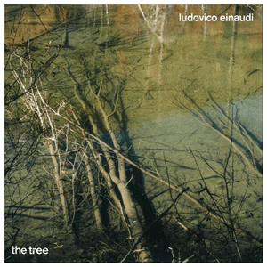 The Tree by Ludovico Einaudi