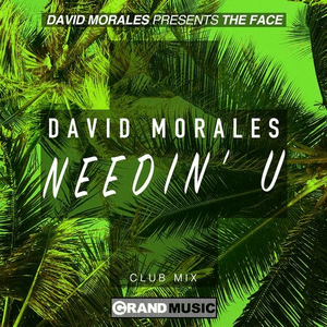Needin' U (Club Mix) by David Morales